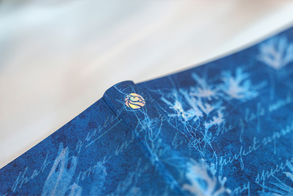 Fiori di Mare - Design Inspiration -