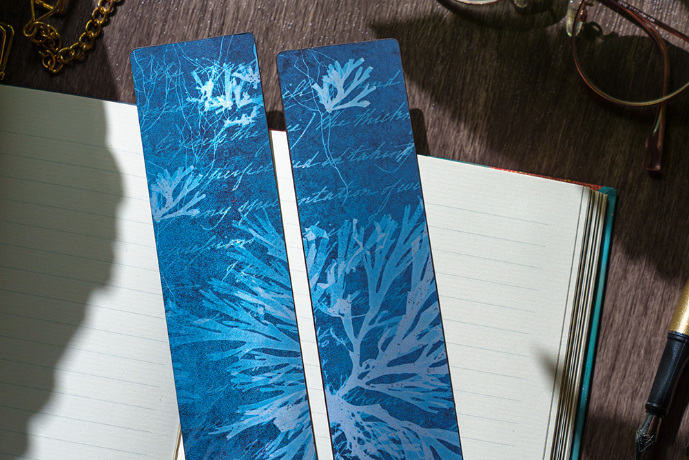 Fiori di Mare - Design Inspiration -