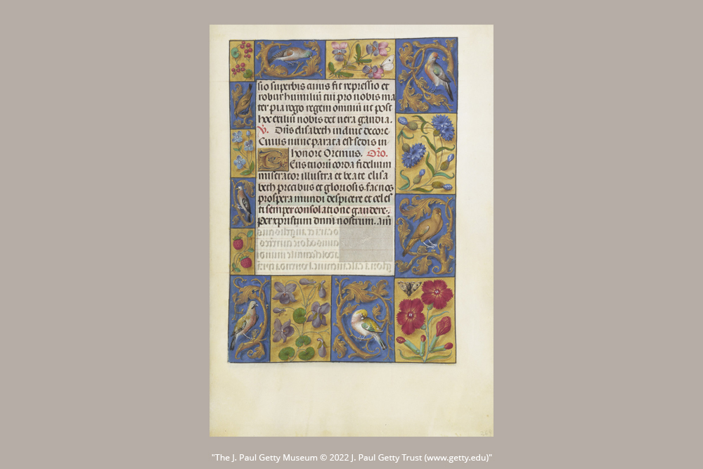 Libro d'Ore Spinola - Design Inspiration -