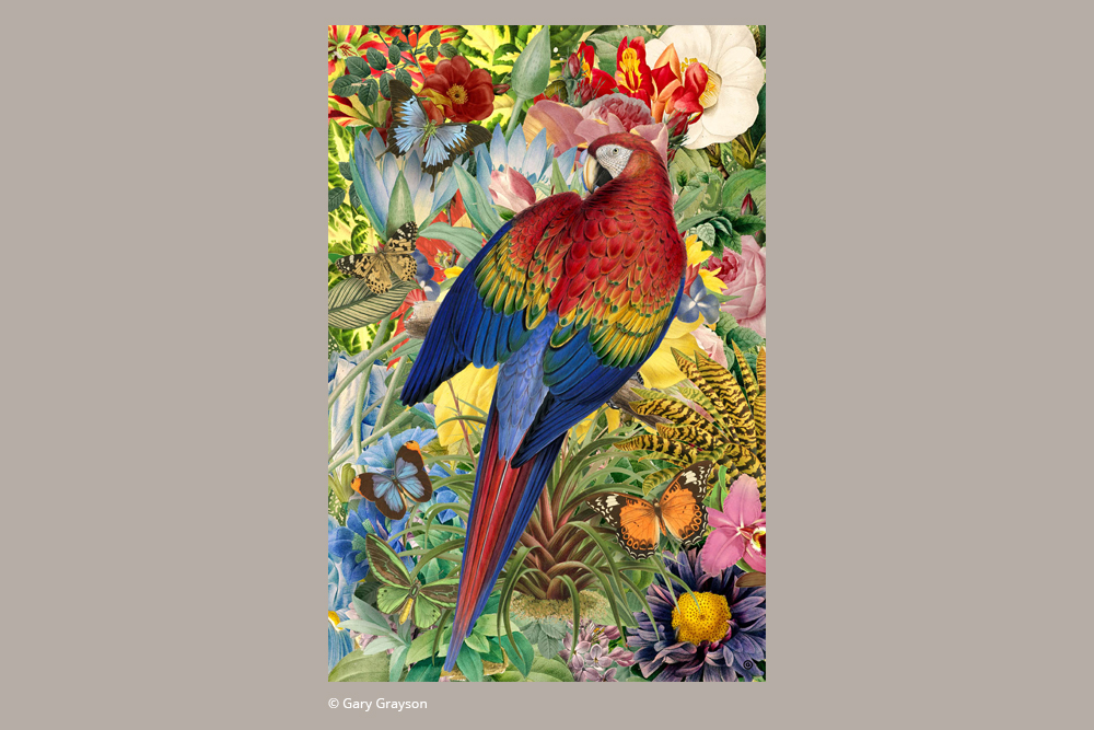2026 Giardino Tropicale - Design Inspiration -