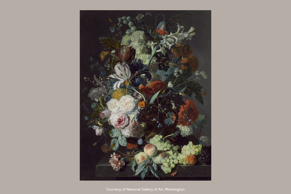 Van Huysum - Design Inspiration -
