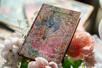 Paperblanks Blog Featured Image