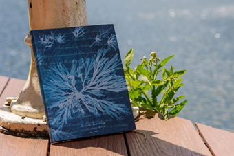 Introducing Anna Atkins’ Sea Flowers: A New Paperblanks Softcover Design Inspired by Cyanotype Art!