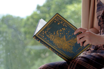 Discover Giacomelli’s World with Our Les Papillons Design!