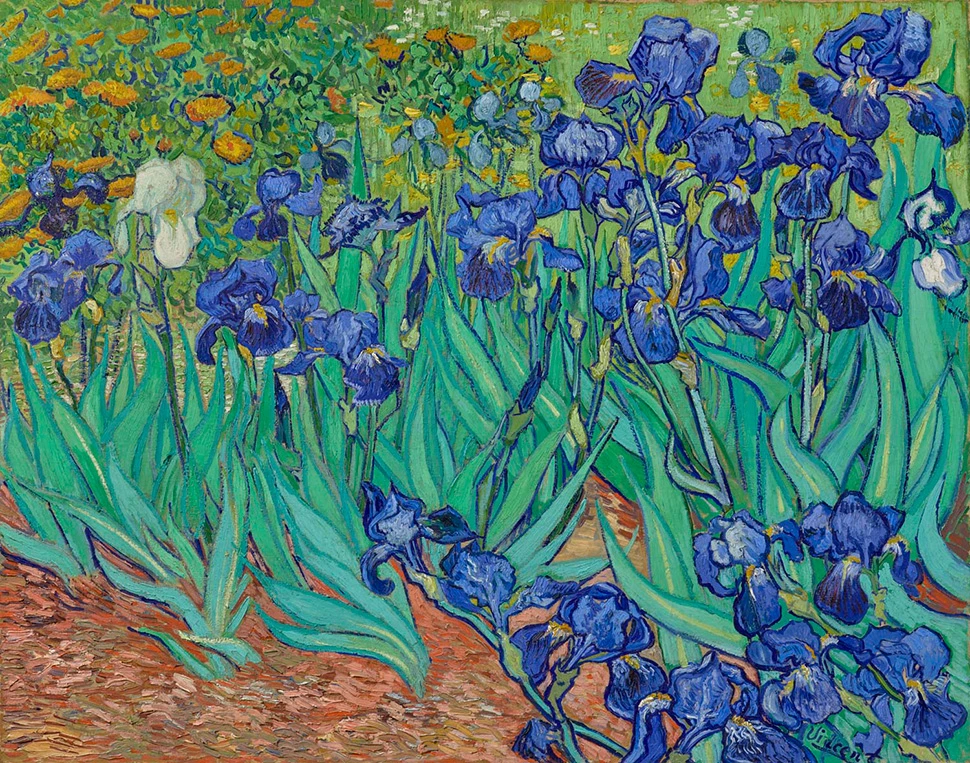 Van Gogh's Irises painting.