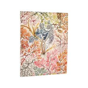 2026 Anemone - Front