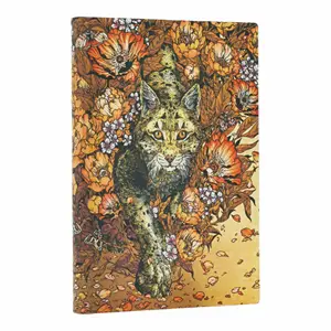 Mirada de lince - Front