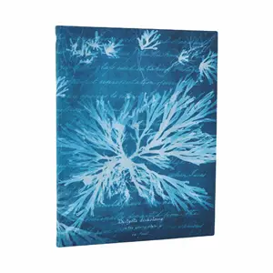 Flores marinas - Front