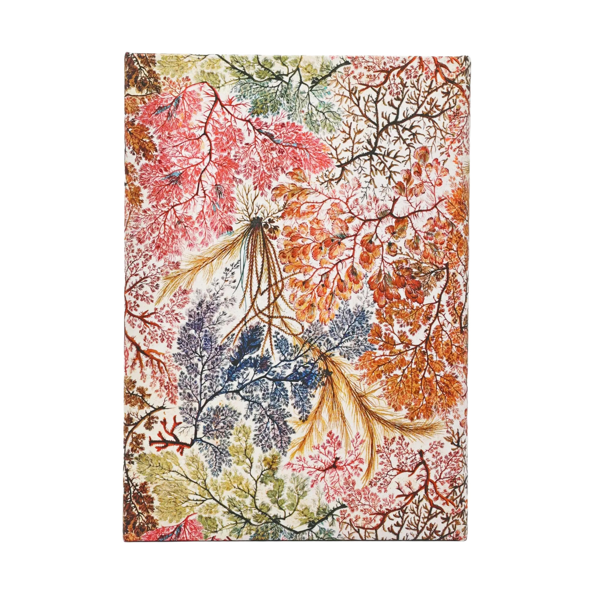 2027 Anemone - William Kilburn - 12-Month | Paperblanks
