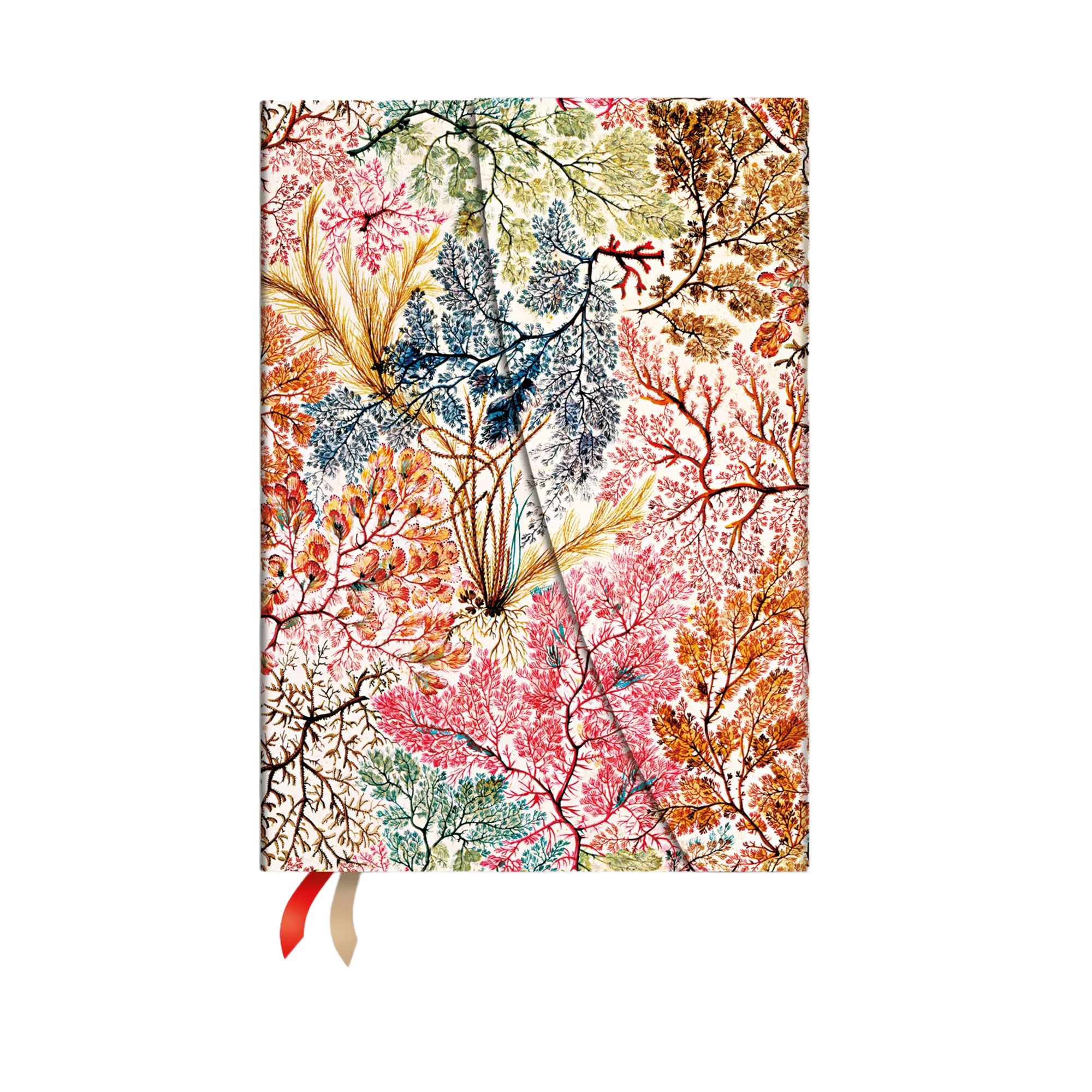 2027 Anemone - William Kilburn - 12-Month | Paperblanks