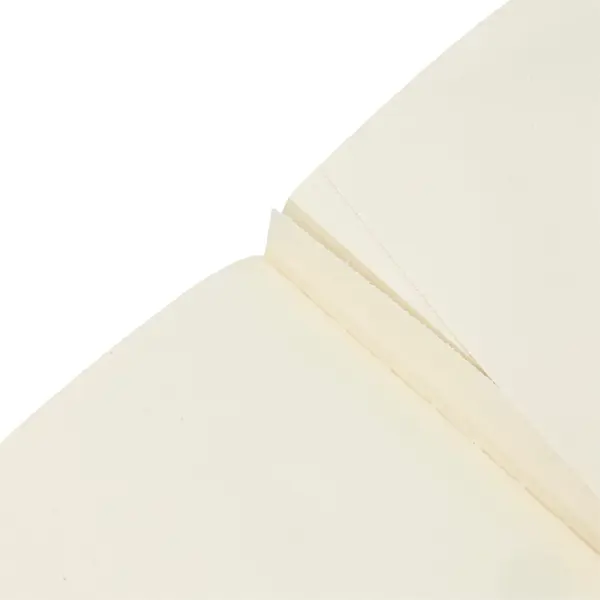 Violet Fairy - Interior 2