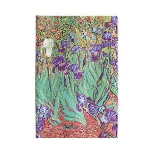 2024 Iris di Van Gogh - Front