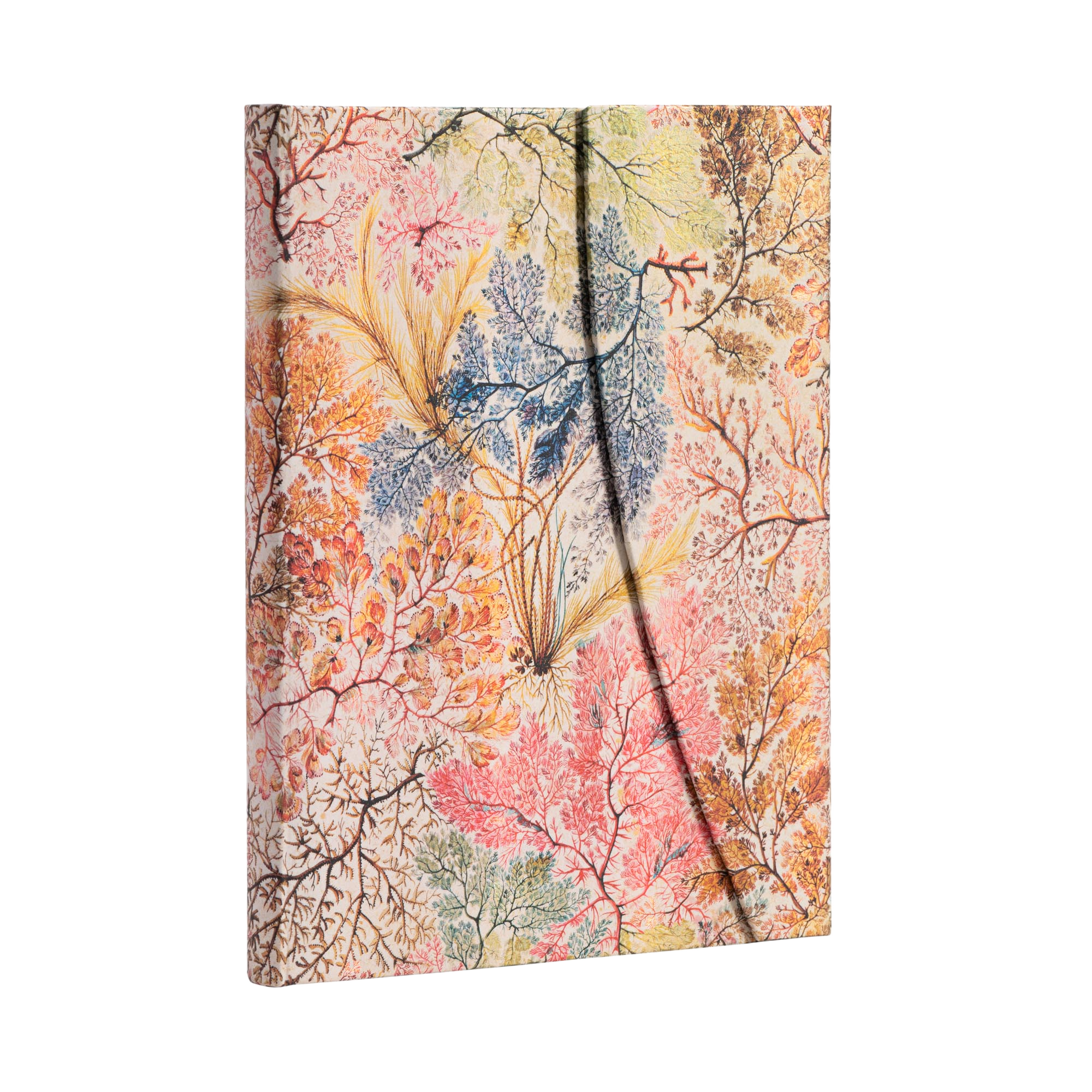 絵画 anemone Anemone - William Kilburn - Journals | Paperblanks