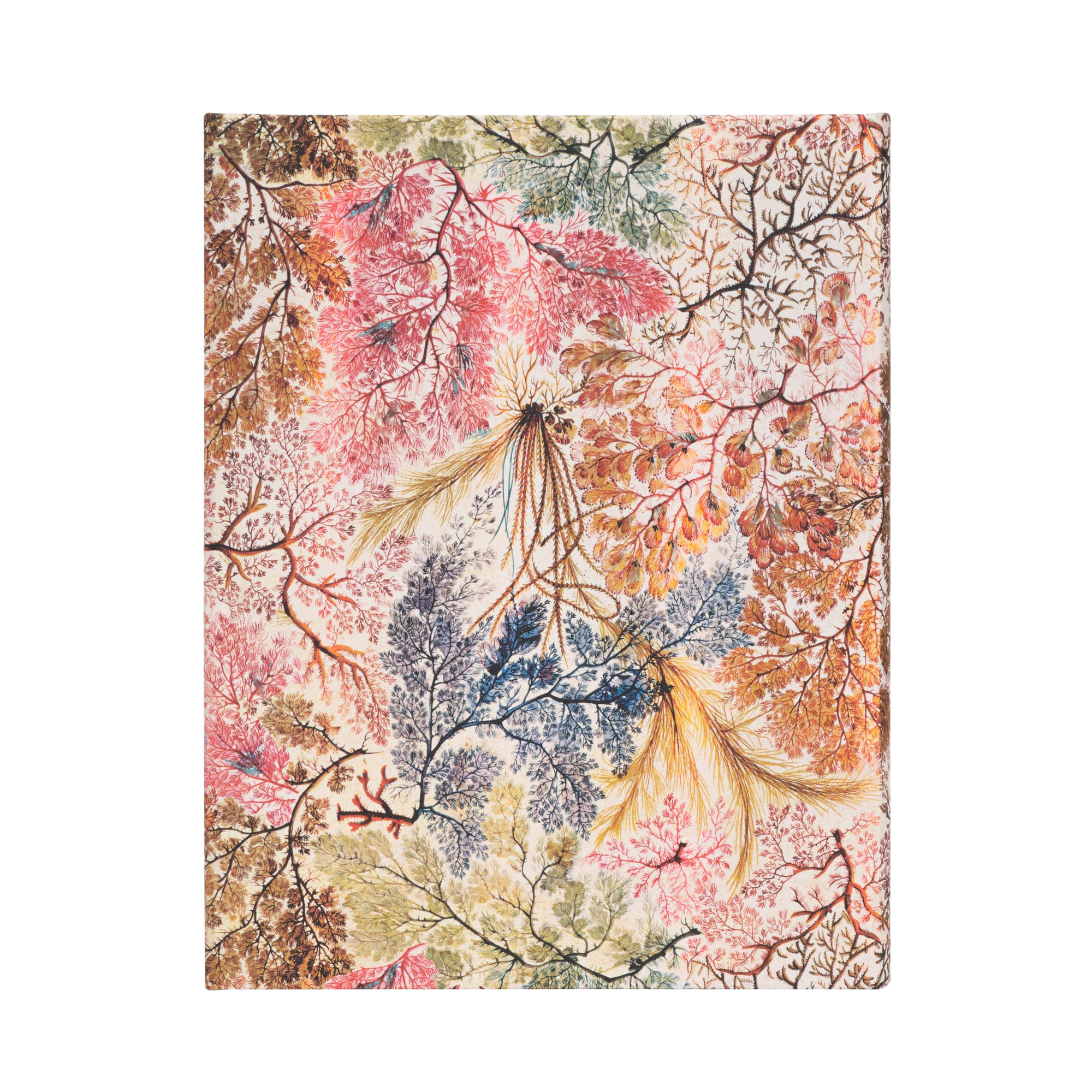 Anemone - William Kilburn - Journals | Paperblanks