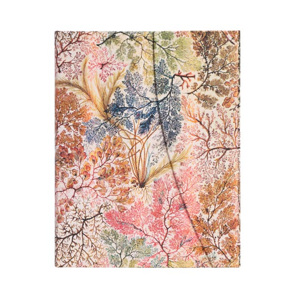 Anemone - William Kilburn - Hardcover Journals | Paperblanks
