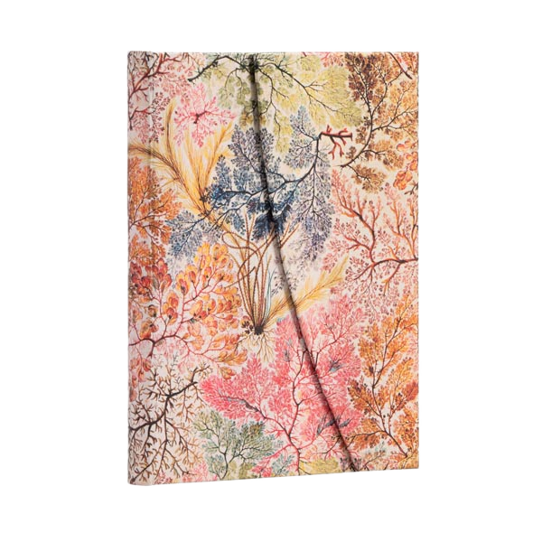 Anemone - William Kilburn - Journals | Paperblanks