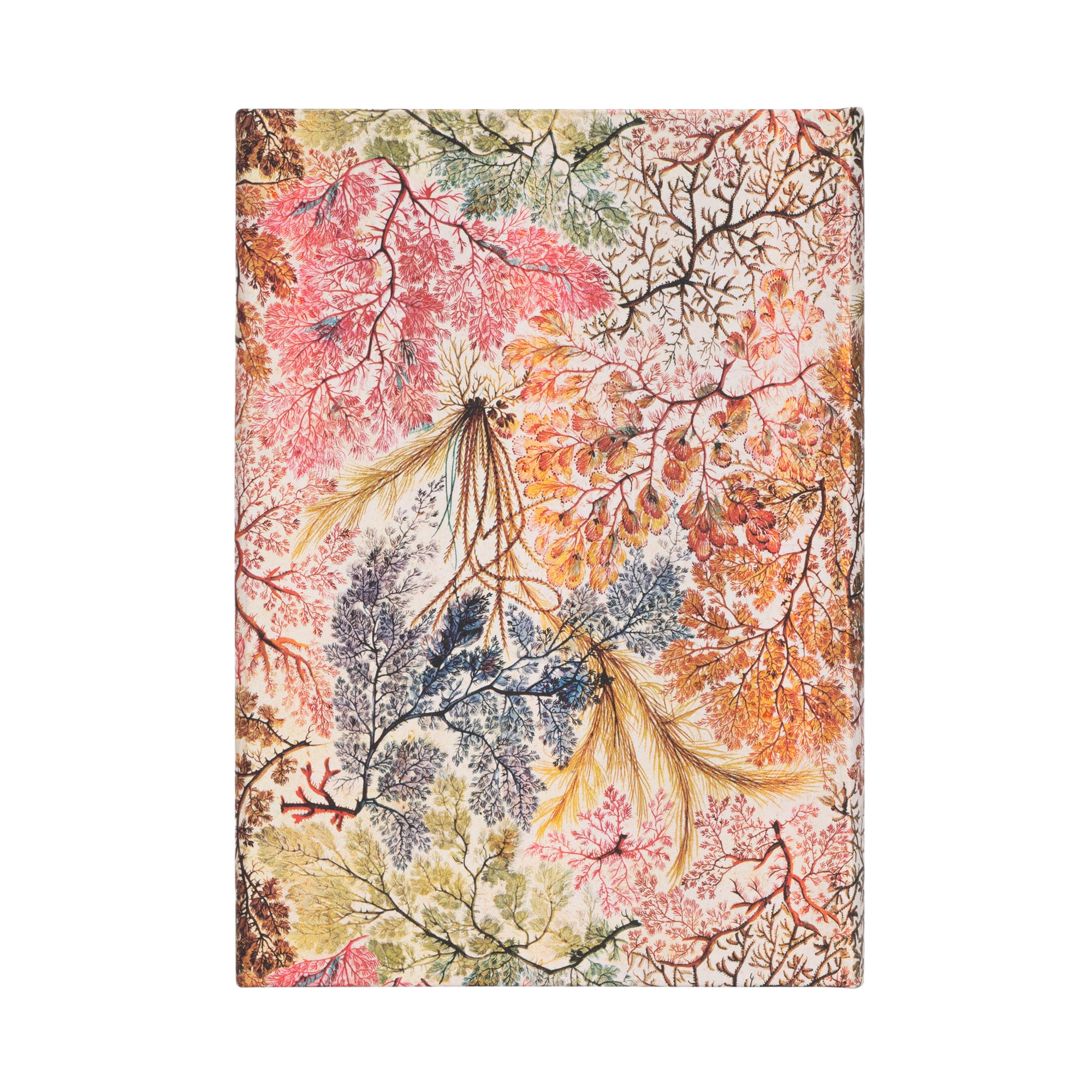 Anemone - William Kilburn - Journals | Paperblanks