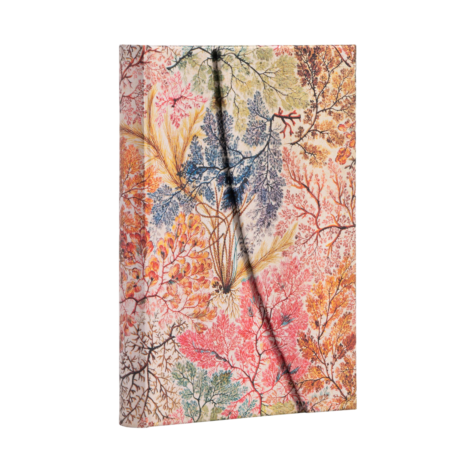 Anemone - William Kilburn - Journals | Paperblanks
