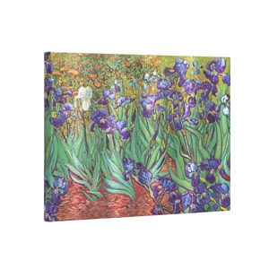 Van Gogh’s Irises - Angle