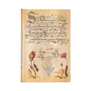 2023 Flemish Rose - Front