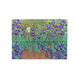 Van Goghs Schwertlilien - Front