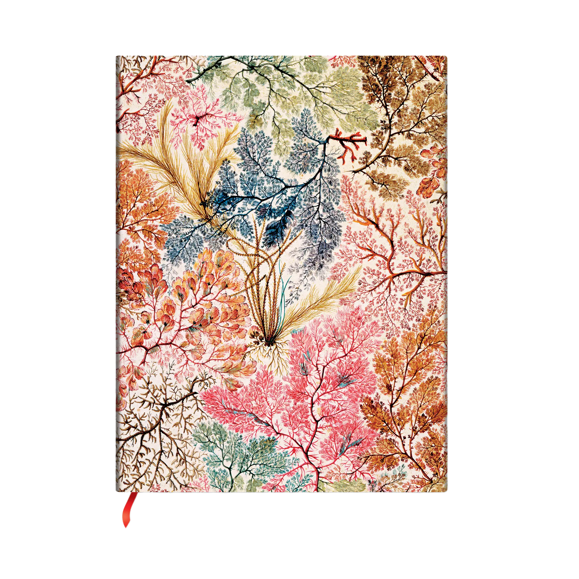 絵画 anemone Anemone - William Kilburn - Journals | Paperblanks