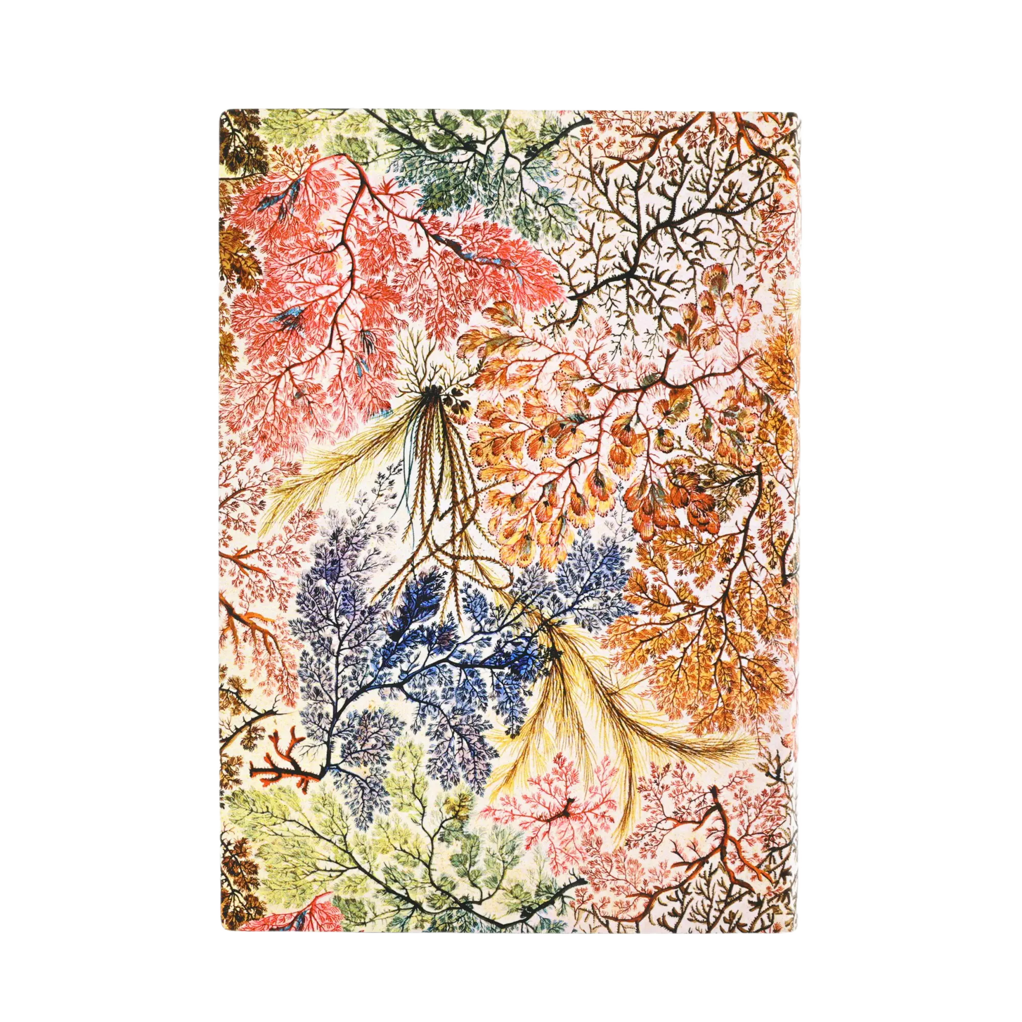 Anemone - William Kilburn - Journals | Paperblanks