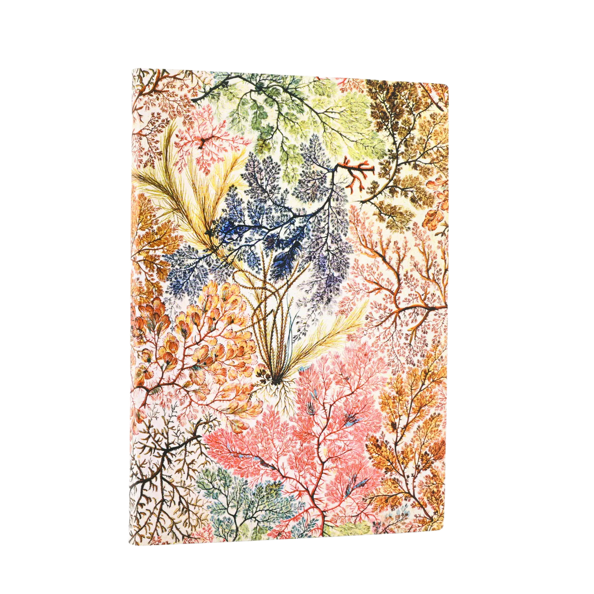 Anemone - William Kilburn - Journals | Paperblanks