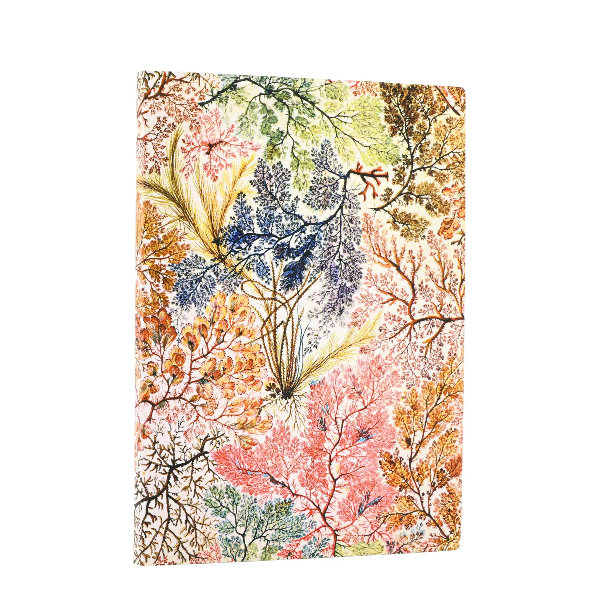 Anemone - William Kilburn | Paperblanks