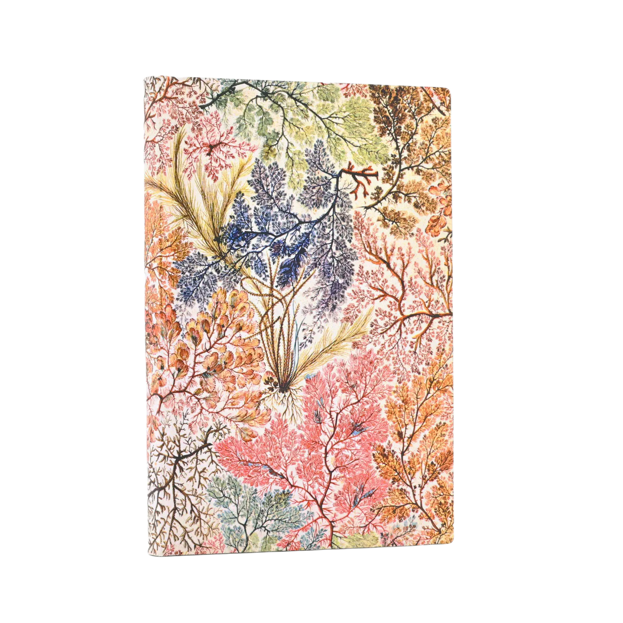 絵画 anemone Anemone - William Kilburn - Journals | Paperblanks