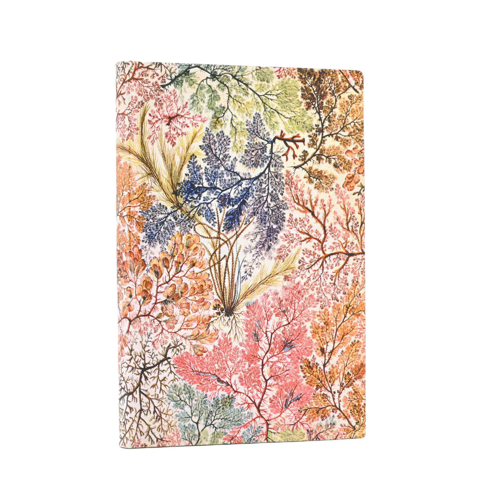Anemone - William Kilburn | Paperblanks