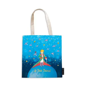 サン＝テグジュペリ 星の王子さま - アーティストビジョン