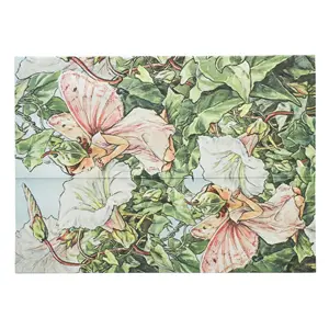 Bindweed Fairy PA9955-0 - Front